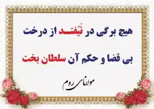 هیچ برگی در نیوفتد